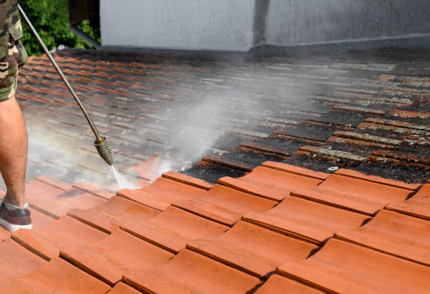 Local Pressure Washing Services in Glenwood, MN